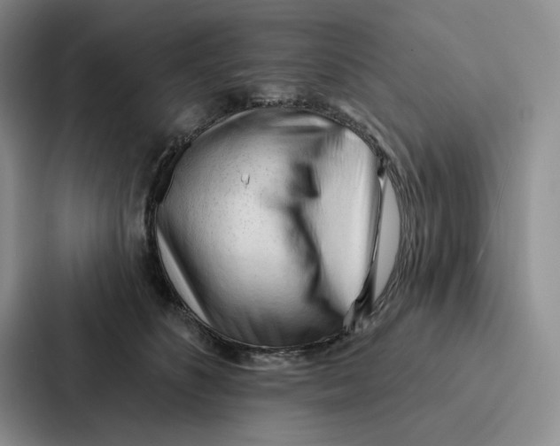 X0000086900516200705141645