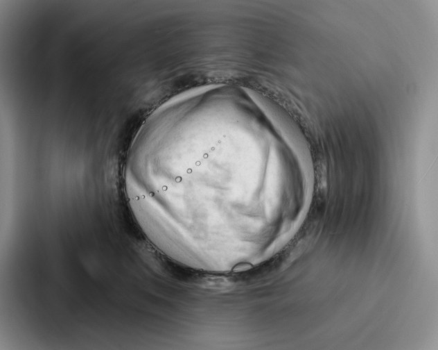 X0000086900519200705141645