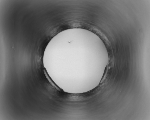 X0000086900521200705141645