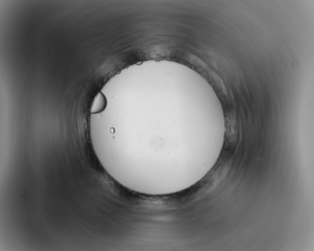 X0000086900523200705141645