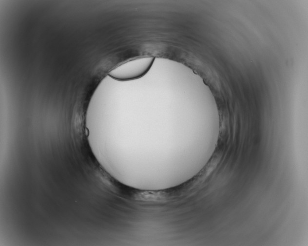 X0000086900526200705141645