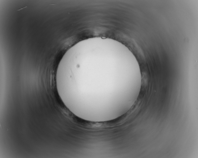 X0000086900527200705141645