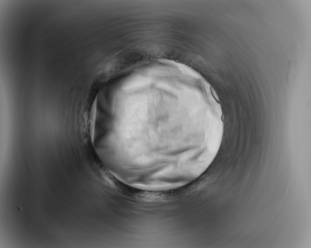 X0000086900528200705141645