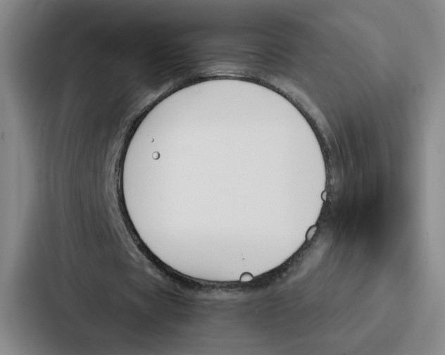 X0000086900529200705141644