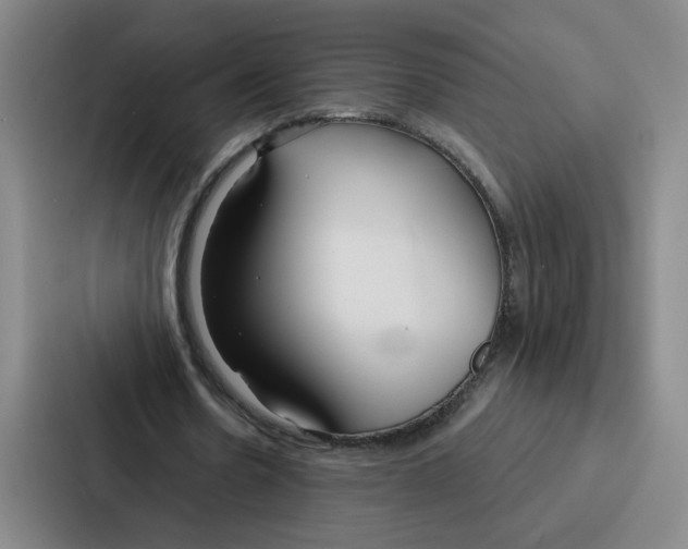 X0000086900530200705141644