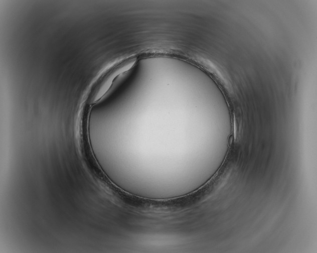 X0000086900531200705141644