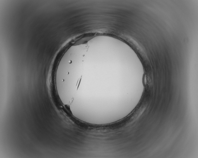 X0000086900532200705141644