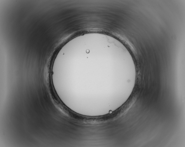 X0000086900533200705141644