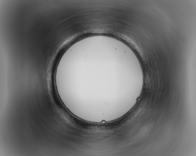 X0000086900535200705141644