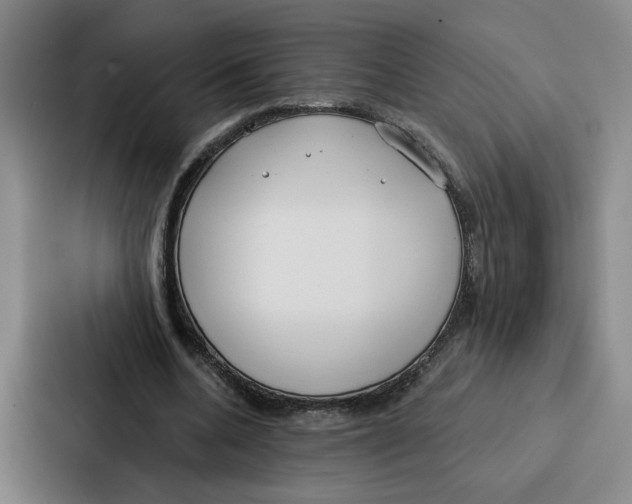 X0000086900536200705141644