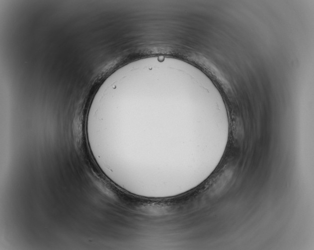 X0000086900537200705141644