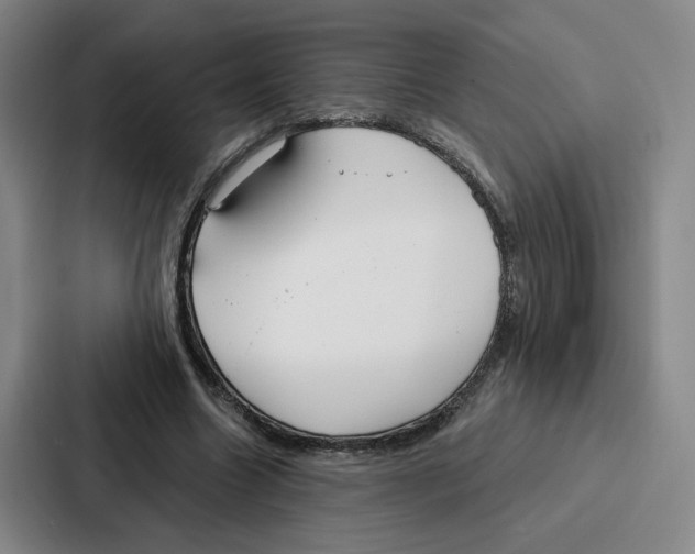 X0000086900538200705141644