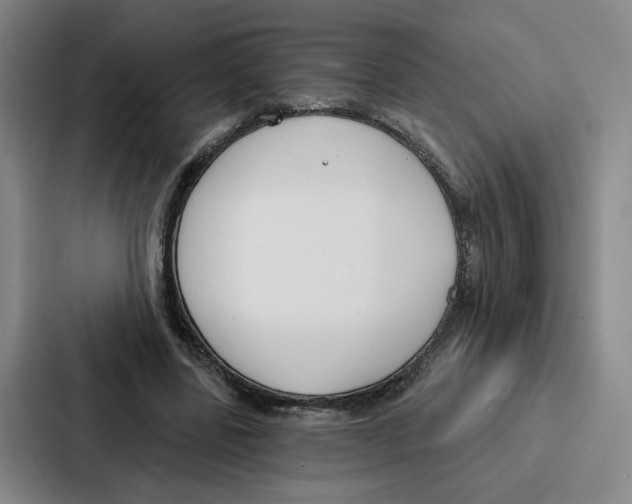 X0000086900539200705141644