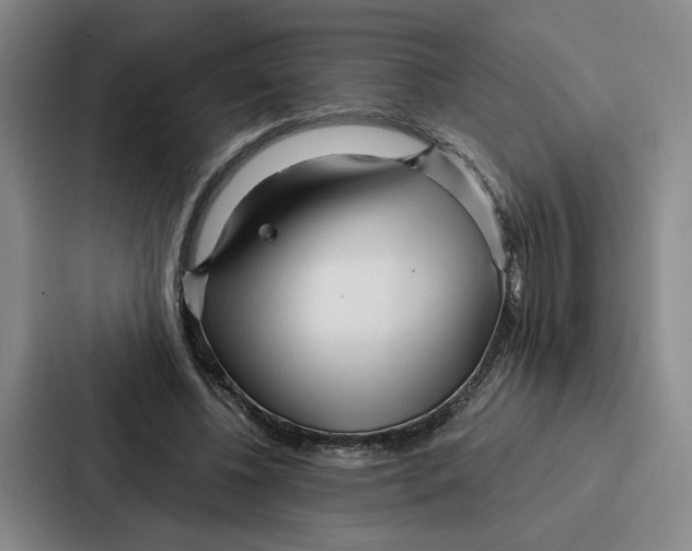 X0000086900540200705141644