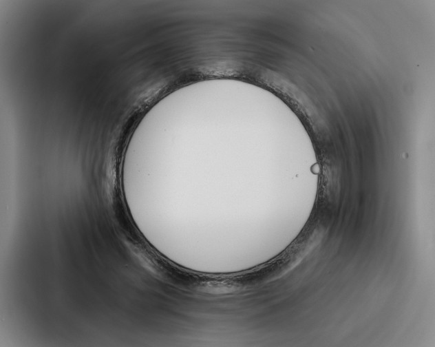 X0000086900541200705141644