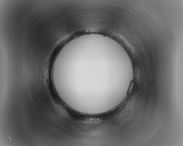 X0000086900543200705141644