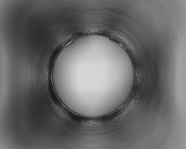 X0000086900546200705141644