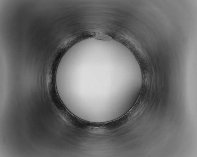 X0000086900548200705141644