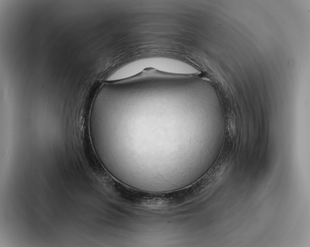 X0000086900551200705141644