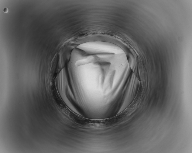 X0000086900552200705141644