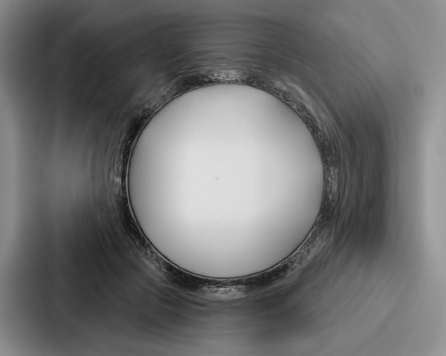 X0000086900553200705141644