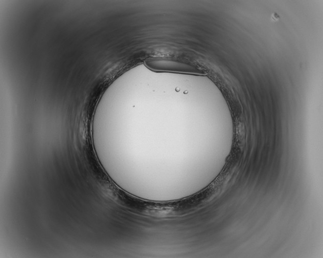 X0000086900554200705141645