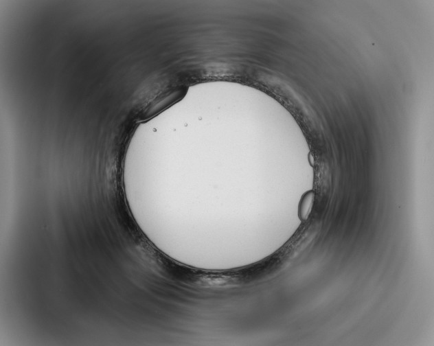 X0000086900557200705141645