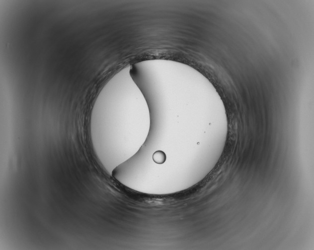 X0000086900558200705141645