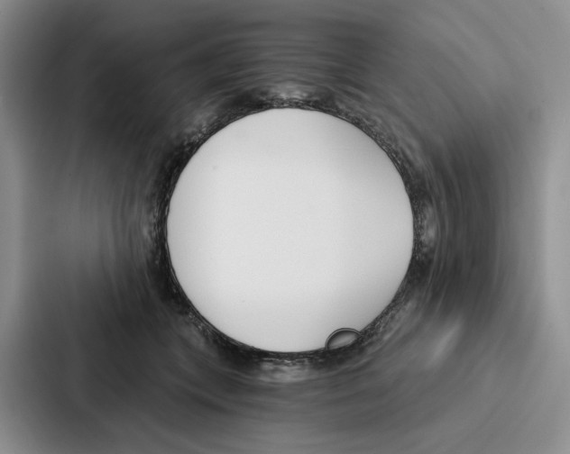 X0000086900559200705141645