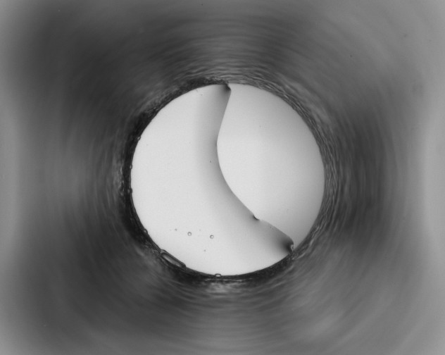 X0000086900560200705141645