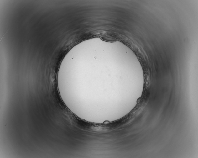 X0000086900561200705141645