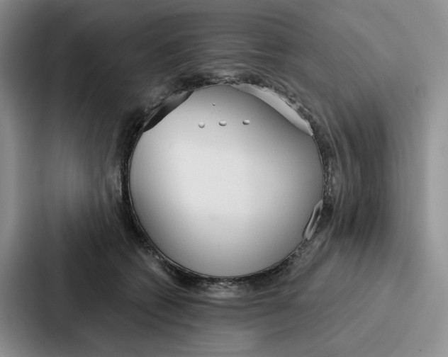 X0000086900562200705141645