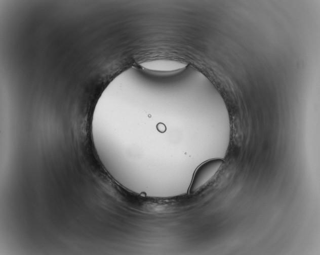 X0000086900563200705141645