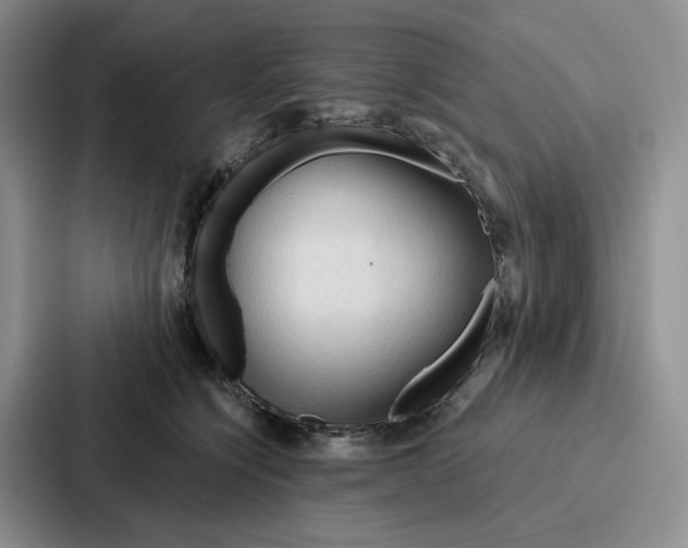 X0000086900564200705141645