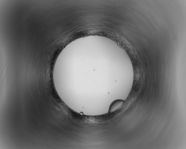 X0000086900565200705141645