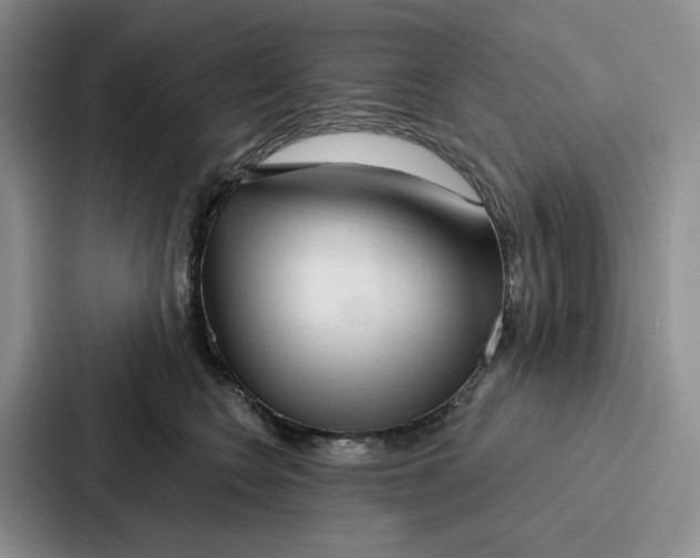 X0000086900566200705141645