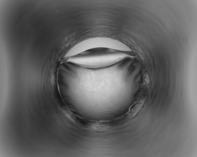 X0000086900568200705141645