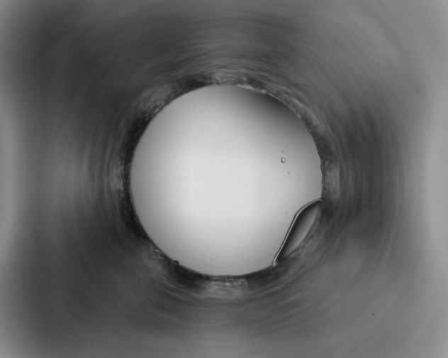 X0000086900571200705141645