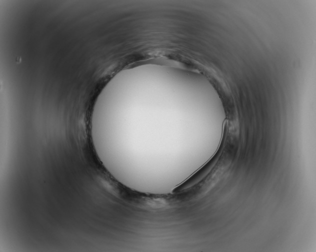 X0000086900572200705141645