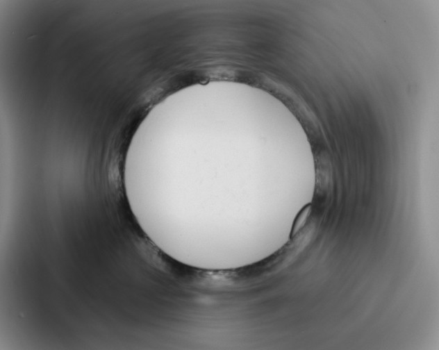 X0000086900573200705141645