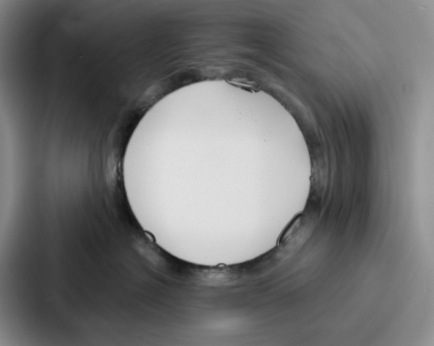 X0000086900574200705141645