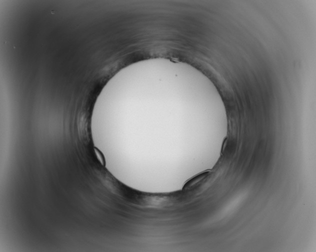 X0000086900575200705141645