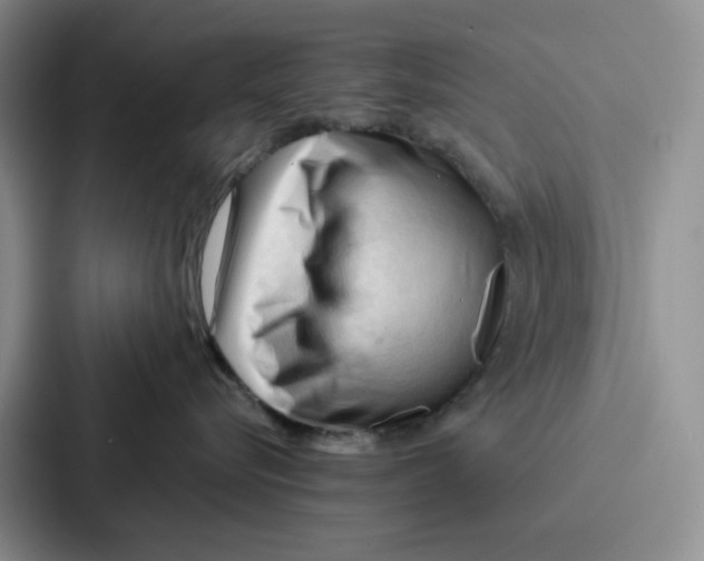 X0000086900576200705141645