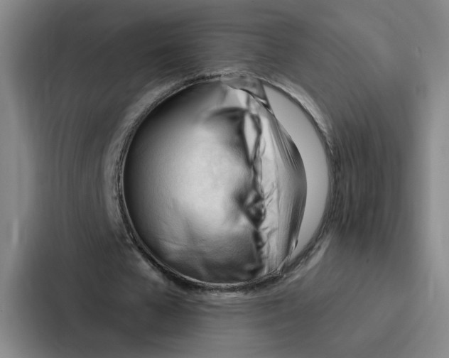 X0000086900577200705141644