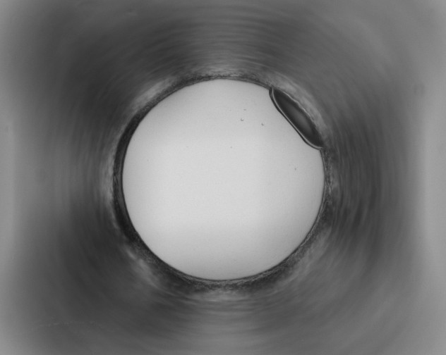 X0000086900578200705141644