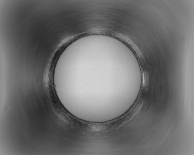 X0000086900579200705141644