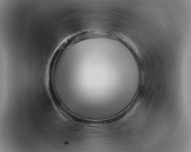 X0000086900580200705141644