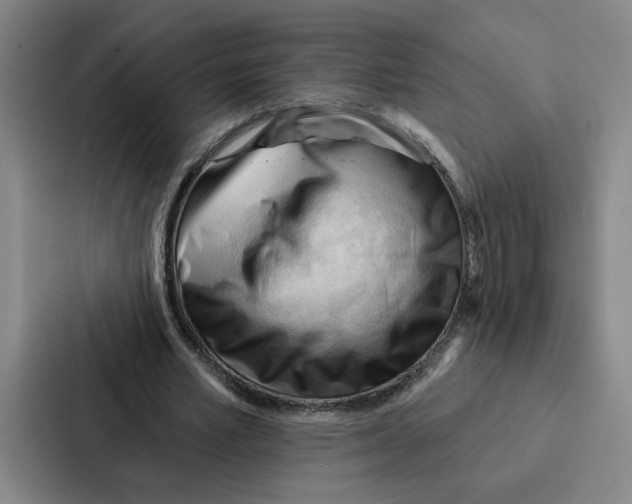 X0000086900581200705141644