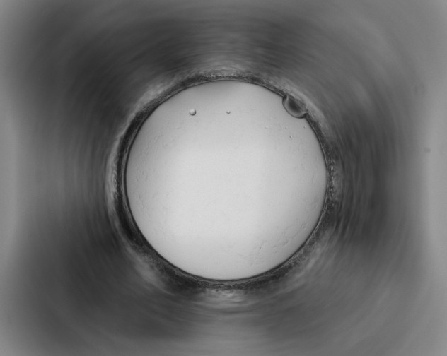 X0000086900582200705141644