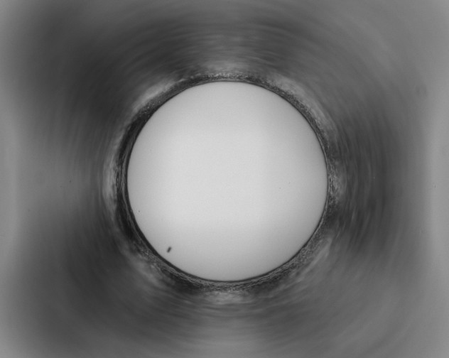 X0000086900583200705141644